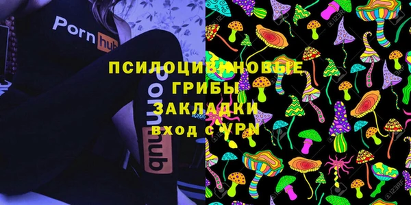 не бодяженный Пересвет