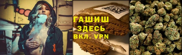 сатива Пестово