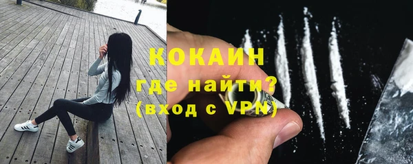 сатива Пестово