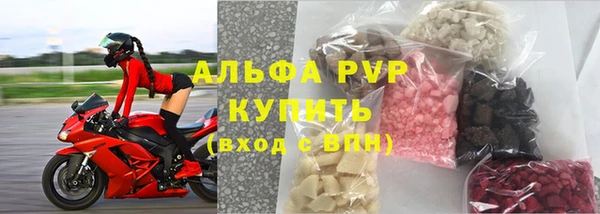 сатива Пестово